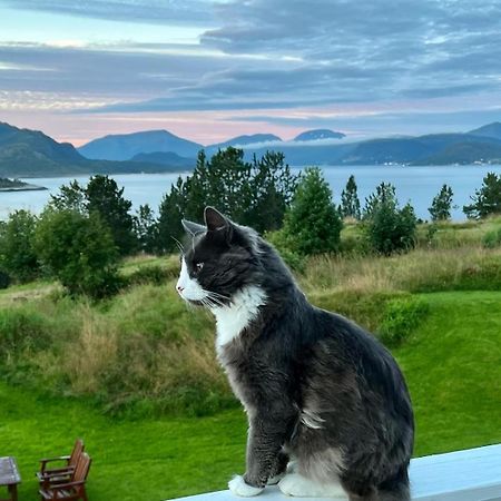 Appartement Wake Up To A Beautiful View And Smell Of The Sea à Kristiansund Extérieur photo