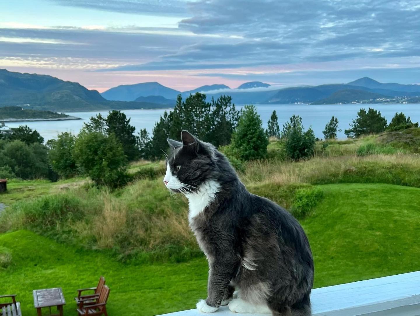 Appartement Wake Up To A Beautiful View And Smell Of The Sea à Kristiansund Extérieur photo