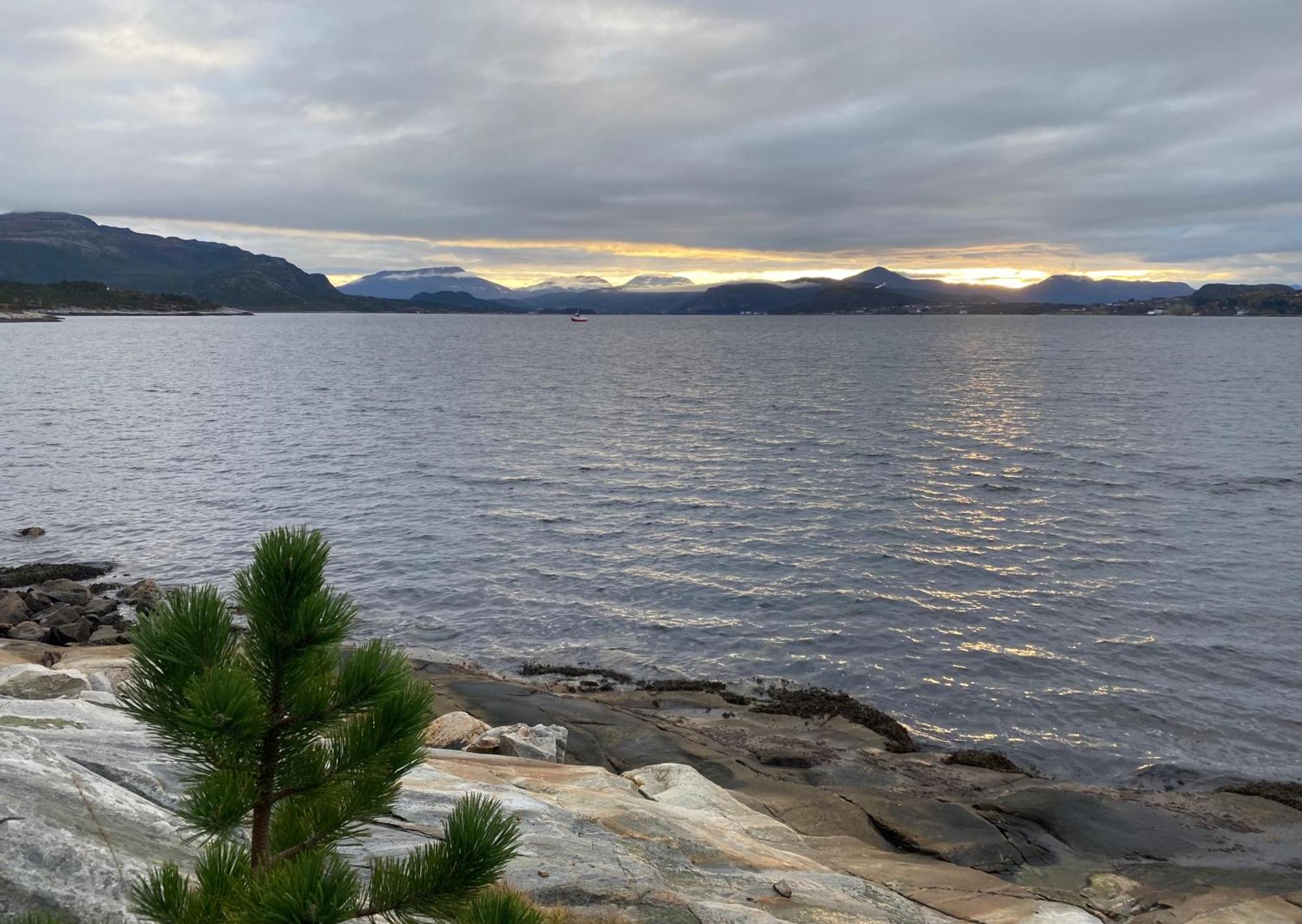 Appartement Wake Up To A Beautiful View And Smell Of The Sea à Kristiansund Extérieur photo